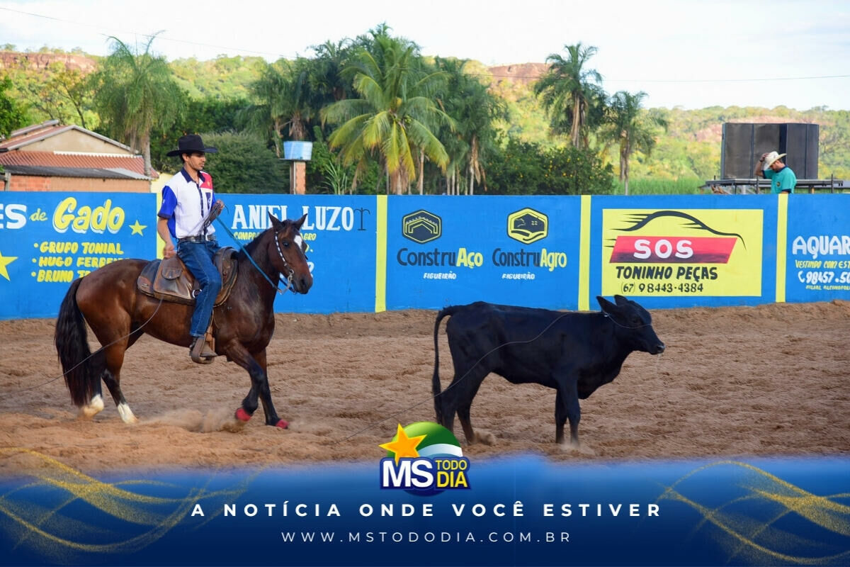 Imagem da Galeria